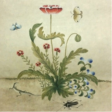 韓国　民画